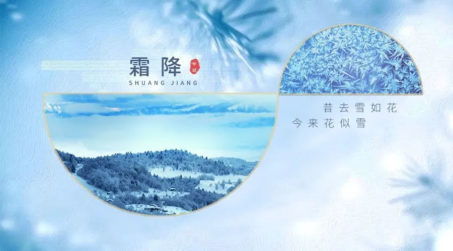 門(mén)窗十大品牌